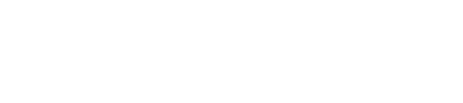 Joy Jet Boat