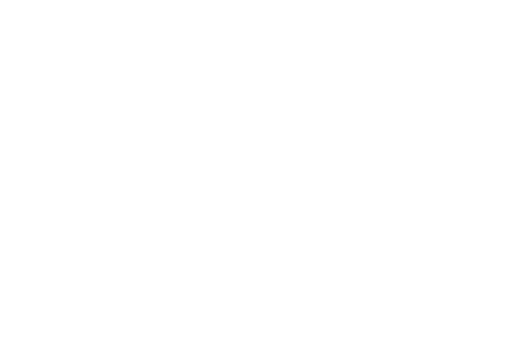 Joy Jet Boat